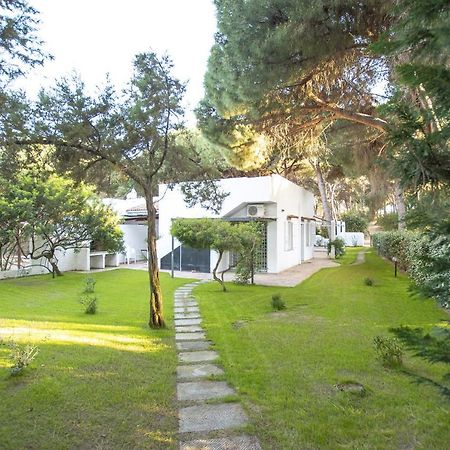 Villa Eucalipto Валледорія Екстер'єр фото