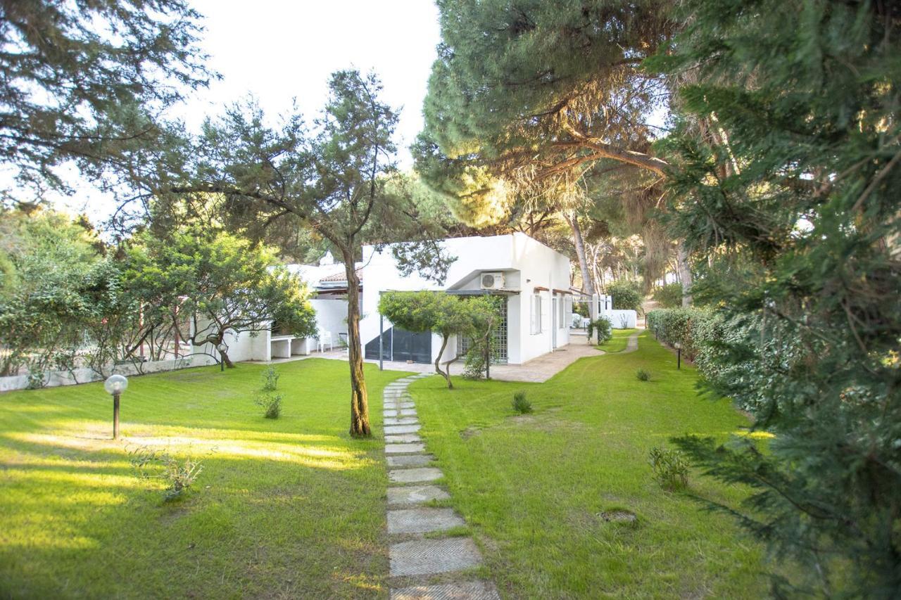 Villa Eucalipto Валледорія Екстер'єр фото